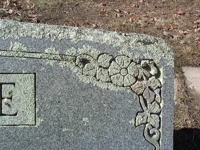P1030645.JPG